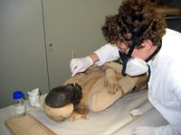 Die Restauratorin Stephanie Steinegger bei der konservatorischen Behandlung einer Mumie.