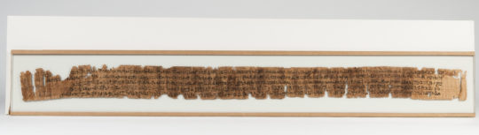 Ein langer beschrifteter Papyrus