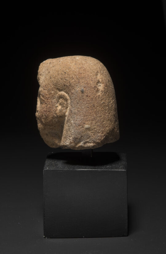 Seitansicht eines Uschebtiköpfchen des Echnaton aus hellbraunem Stein