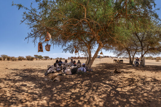 Sudanesische Mitarbeiter des Grabungsprojektes in Naga rasten im Schatten eines Baumes