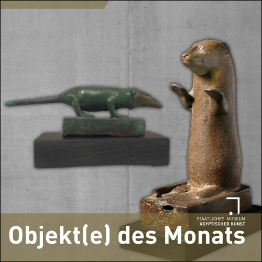Bronzestatuen von einer Spitzmaus und einem Ichneumon. Darunter steht "Objekt(e) des Monats"