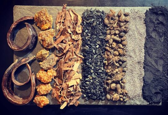 Verschiedene altägyptische Kräuter und Parfümzutaten