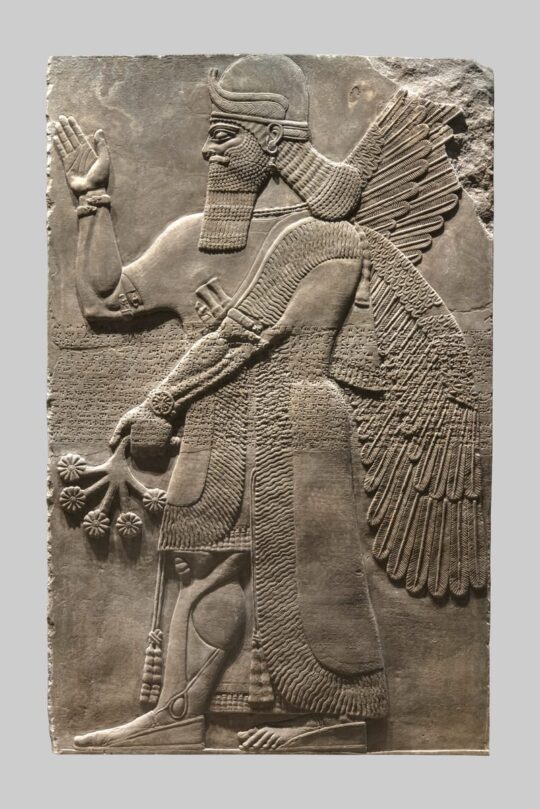 Assyrisches Relief eines Genius, ein großer bärtiger Mann, der nach links schaut. Die rechte Hand hält er halb erhoben, in der herabhängenden Linken hält er eine Pflanze
